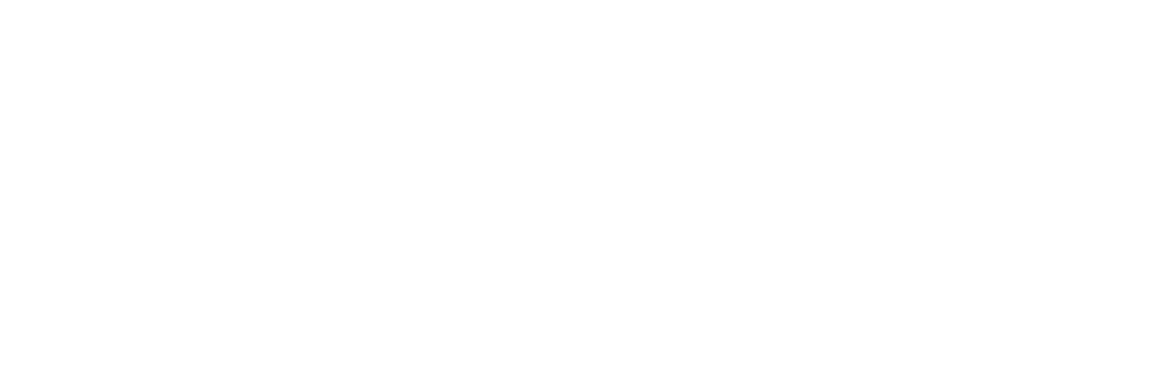 The Budgetmentor